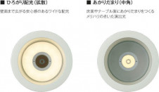 �������߾��� KOIZUMI LED �ⵤ̩������饤�� AD45060L �̿�6