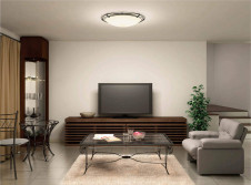 �������߾��� KOIZUMI LED ������� AH42955L �̿�1