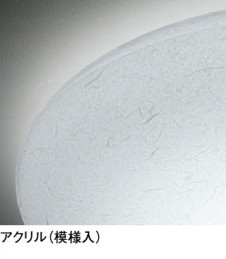 ODELIC �����ǥ�å� LED ������󥰥饤�� OL251066BC �̿�2