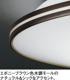 ODELIC �����ǥ�å� LED ������󥰥饤�� OL251512 �̿�2