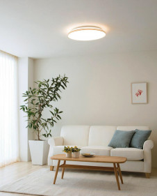 ODELIC �����ǥ�å� LED ������󥰥饤�� OL251542 �̿�1