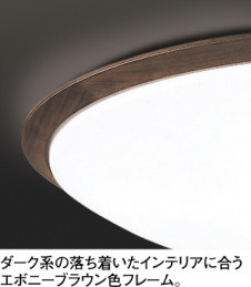 ODELIC �����ǥ�å� LED ������󥰥饤�� OL251620 �̿�1