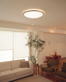 ODELIC �����ǥ�å� LED ������󥰥饤�� OL251622 �̿�1