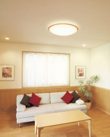 ODELIC �����ǥ�å� LED ������󥰥饤�� OL251624 �̿�1