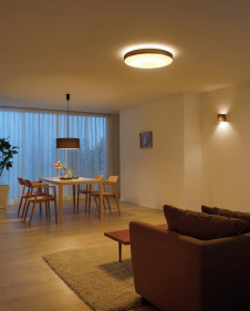 ODELIC �����ǥ�å� LED ������󥰥饤�� OL251673BC �̿�1