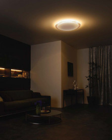 ODELIC �����ǥ�å� LED ������󥰥饤�� OL251696BC �̿�1