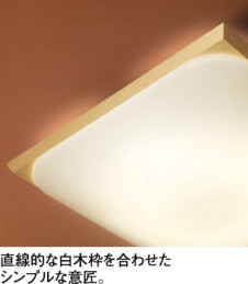 ODELIC �����ǥ�å� LED ������󥰥饤�� OL291018L �̿�2