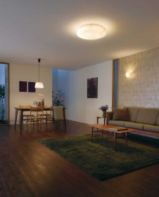 ODELIC �����ǥ�å� LED ������󥰥饤�� OL291118 �̿�1