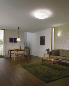 ODELIC �����ǥ�å� LED ������󥰥饤�� OL291118 �̿�2