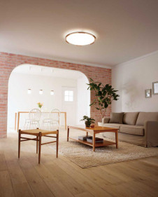 ODELIC �����ǥ�å� LED ������󥰥饤�� OL291122 �̿�2