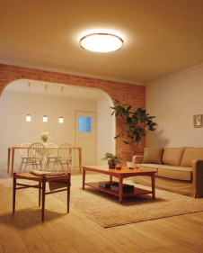 ODELIC �����ǥ�å� LED ������󥰥饤�� OL291123 �̿�1