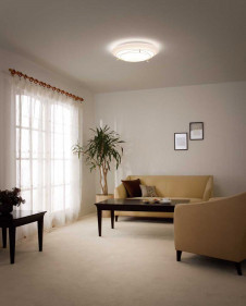 ODELIC �����ǥ�å� LED ������󥰥饤�� OL291134BC �̿�1