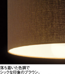 ODELIC �����ǥ�å� LED �ڥ����ȥ饤�� OP252291LD �̿�1