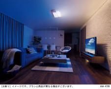 Panasonic ������󥰥饤�� LGBX3138 �̿�4