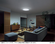 Panasonic ������󥰥饤�� LGBZ3402J �̿�3