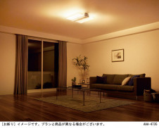 Panasonic ������󥰥饤�� LGBZ4187 �̿�4