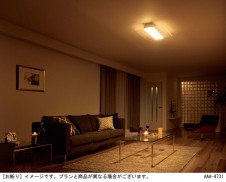 Panasonic ������󥰥饤�� LGBZ4189 �̿�2