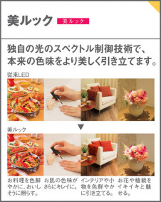 Panasonic ڥȥ饤 LGB11025LE1 ̿4