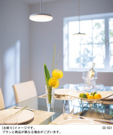 Panasonic �ڥ����ȥ饤�� LGB15280LE1 �̿�2