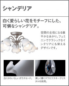 Panasonic �����ǥꥢ LGB57582 �̿�3