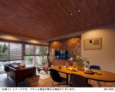 Panasonic ������饤�� LGB73610LB1 �̿�1