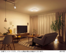 Panasonic ������󥰥饤�� LGBX1189 �̿�4