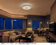 Panasonic ������󥰥饤�� LGBZ1434 �̿�1