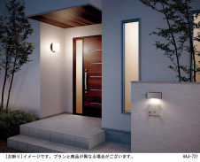 Panasonic ƥꥢ LGW46163LE1 ̿1