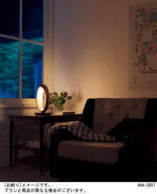 Panasonic ������� SQ440W �̿�2