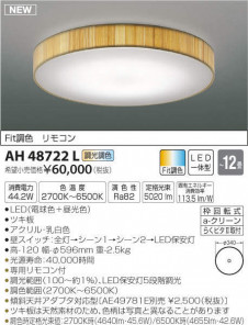 �������߾��� KOIZUMI ����������� AH48722L �̿�1