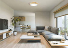 �������߾��� KOIZUMI ����������� AH48722L �̿�2