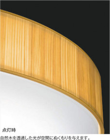 �������߾��� KOIZUMI ����������� AH48723L �̿�3