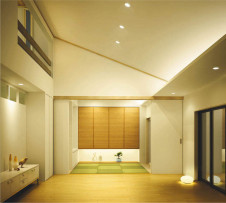 �������߾��� KOIZUMI �ⵤ̩������饤�� AD44901L �̿�1