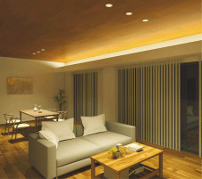 �������߾��� KOIZUMI �ⵤ̩������饤�� AD45083L �̿�1