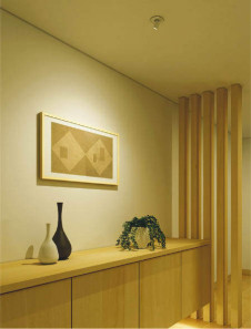 �������߾��� KOIZUMI �ⵤ̩��˥С����������饤�� AD45153L �̿�1