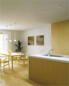 �������߾��� KOIZUMI �ⵤ̩��˥С����������饤�� AD45153L �̿�3