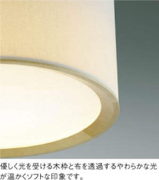 �������߾��� KOIZUMI �ڥ����� AP43191L �̿�2