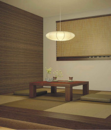 �������߾��� KOIZUMI �����ڥ����� AP45459L �̿�1