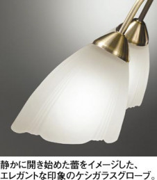 ODELIC �����ǥ�å� �����ǥꥢ OC006917LC �̿�2