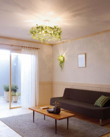 ODELIC �����ǥ�å� �����ǥꥢ OC257023LC �̿�1