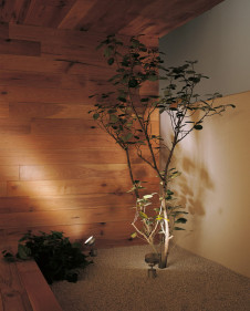 ODELIC �����ǥ�å� �������ƥꥢ�饤�� OG254073 �̿�3