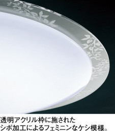 ODELIC ǥå 󥰥饤 OL251438 ̿2