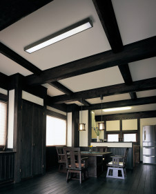 ODELIC �����ǥ�å� ������󥰥饤�� OL251583L �̿�1