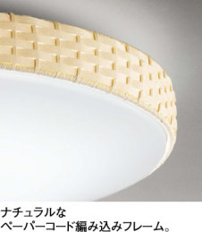 ODELIC �����ǥ�å� ������󥰥饤�� OL251825BC �̿�2