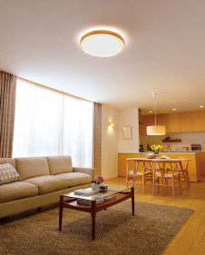 ODELIC �����ǥ�å� ������󥰥饤�� OL251826BC �̿�1