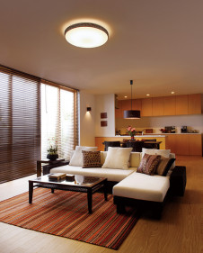 ODELIC �����ǥ�å� ������󥰥饤�� OL251829BC �̿�1