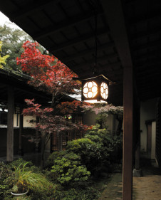 ODELIC �����ǥ�å� �������ƥꥢ�饤�� OP035403LD �̿�1