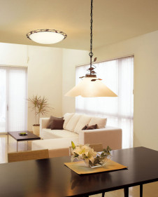 ODELIC �����ǥ�å� �ڥ����ȥ饤�� OP087390LD �̿�1