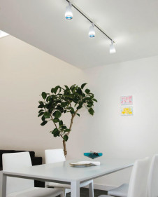 ODELIC �����ǥ�å� ���ݥåȥ饤�� OS256138LC �̿�1