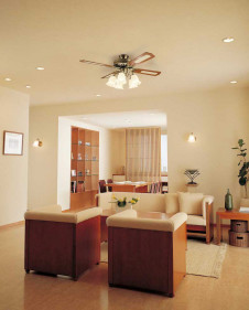 ODELIC �����ǥ�å� ������󥰥ե��� WF681P1 �̿�1